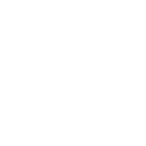Web & Mobile Development